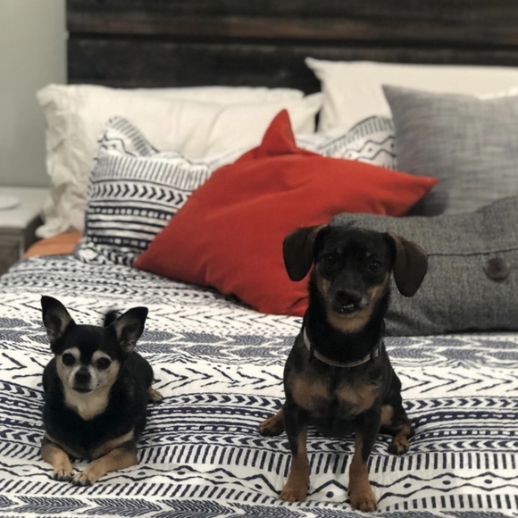 Meet your Posh Ambassador, Jana - Picture 13 of 16